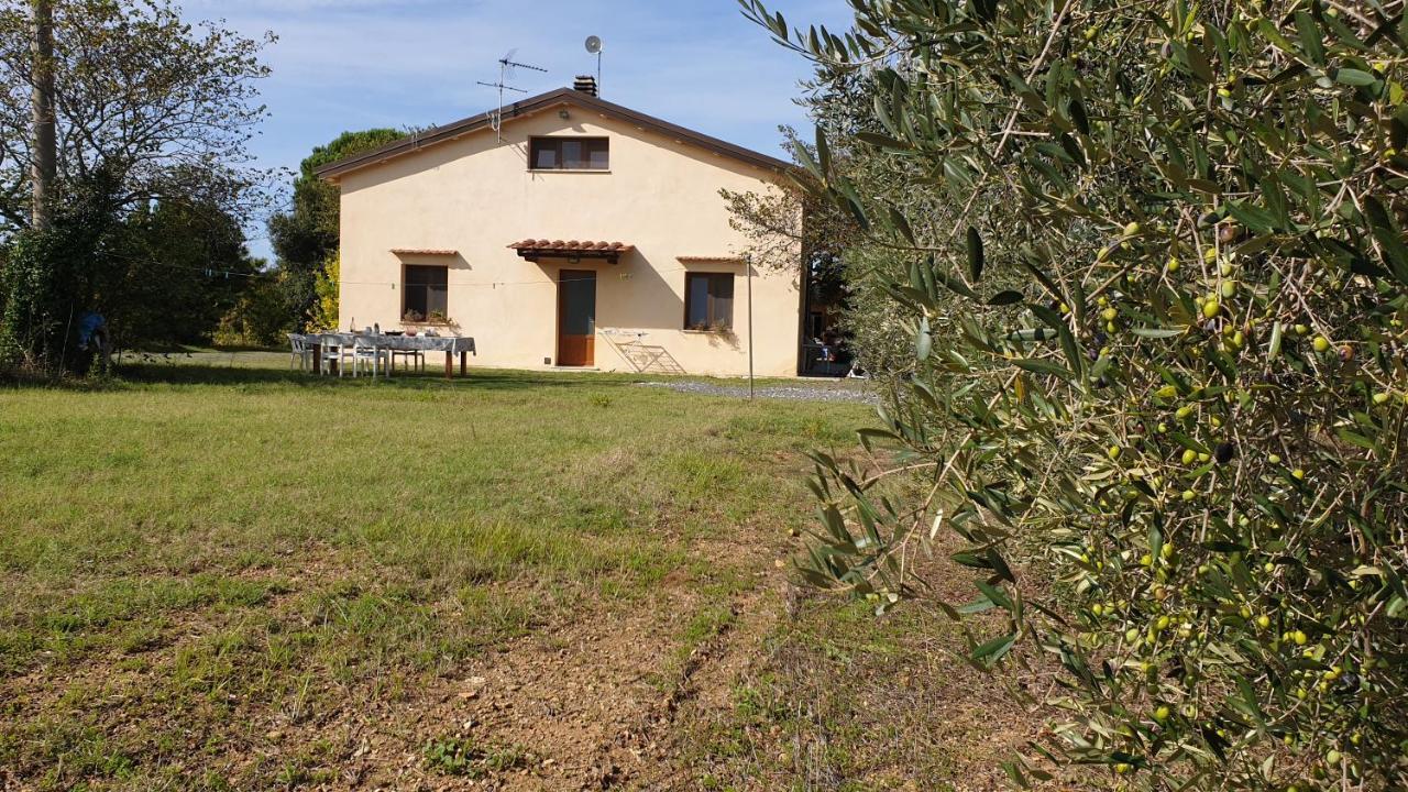 Villa La Ripa Del Drago Bibbona Exterior foto